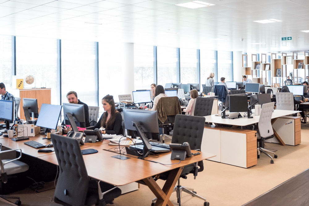 Open Plan Office Spaces